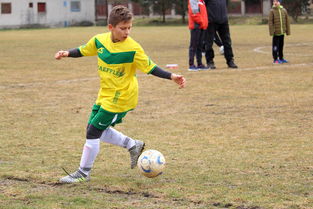 1xbet体育教练-国内足球盛事备受球迷关注，实力对比不容忽视